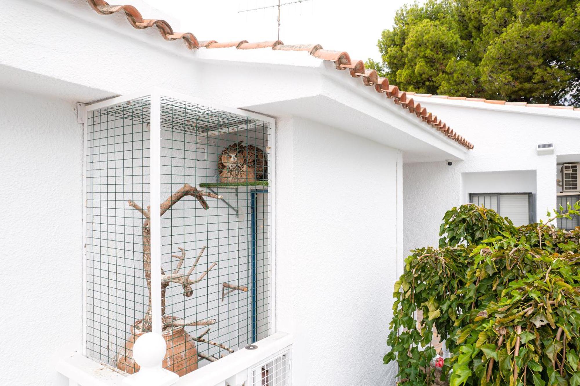 Villa Vintage Les Cases d'Alcanar Buitenkant foto